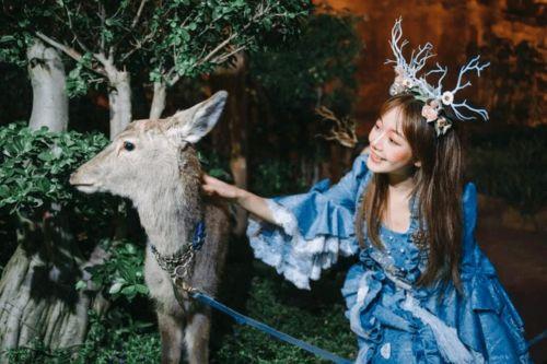 网红小鹿在线视频,揭秘网红背后的真实生活