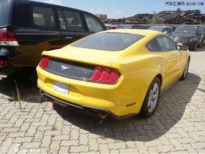 野马在线视频点,探索未知领域的视觉盛宴