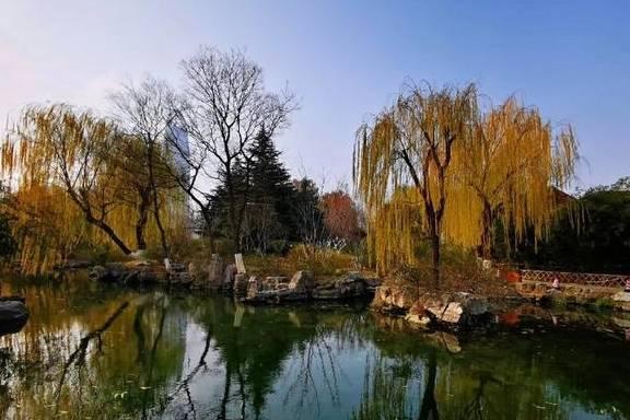 风吟鸟鸣在线视频,自然和谐交响曲的视觉盛宴