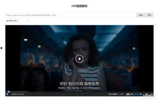 大 在线视频,深度解析与精彩回顾