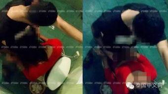 40妇女在线视频 XX,探寻女性力量与情感共鸣