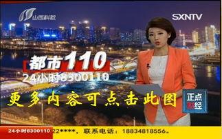 都市110在线视频,实时直播，揭秘城市安全守护者