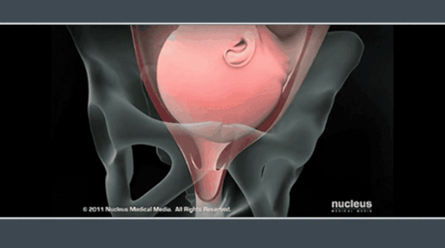 干完分娩在线视频,揭秘产房真实瞬间