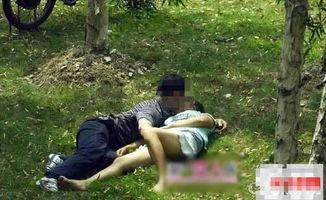 公园野战在线视频在线,激情四溢的户外竞技体验