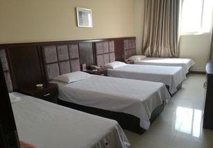 兰考女商人 在线视频,逆境中的奋斗与蜕变