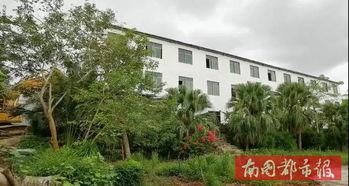 茅三在线视频区,揭秘茅三世界，畅游知识海洋