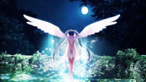 动漫堕落天使在线视频