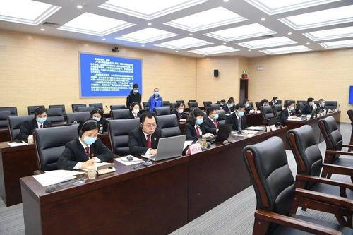 在线视频法院旁听,在线视频法院旁听新体验